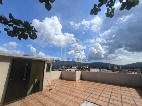 近錦田市中心