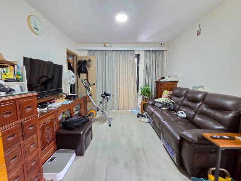 洞梓