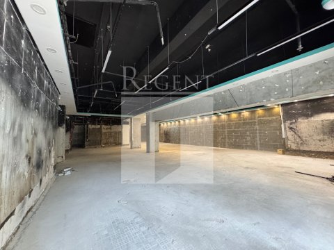 写字楼出租/租写字楼, Regent