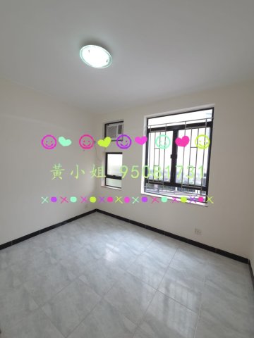 新屋家村   95081731