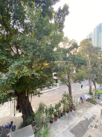 田心村