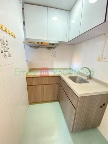 翠麗花園 @ EMILY 95080096