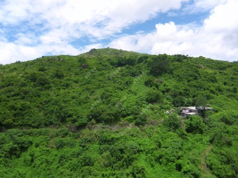 荃威花園 M座 荃威花園 M座