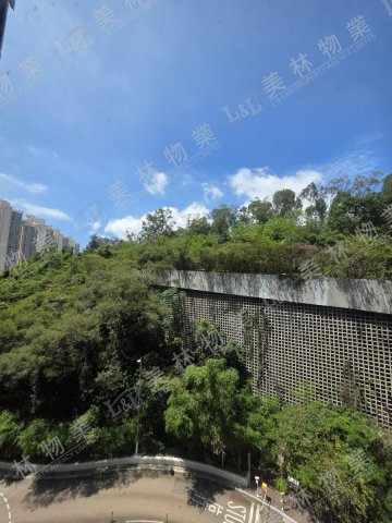 llam.com.hk