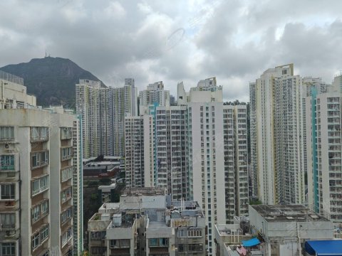 llam.com.hk