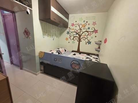 llam.com.hk