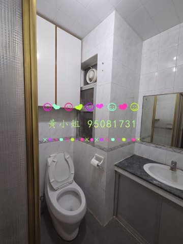 林村新村  95081731
