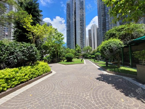 llam.com.hk