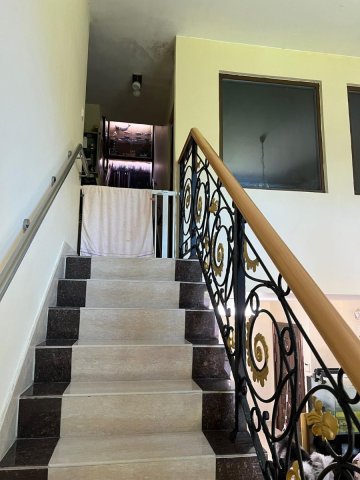 山頂花園 95080030