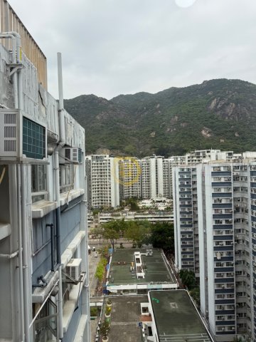 CHI LOK FA YUEN BLK 04 (PSPS)