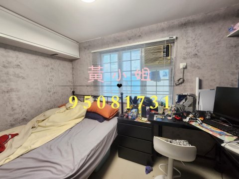 洞梓  95081731