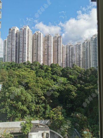 錦豐園