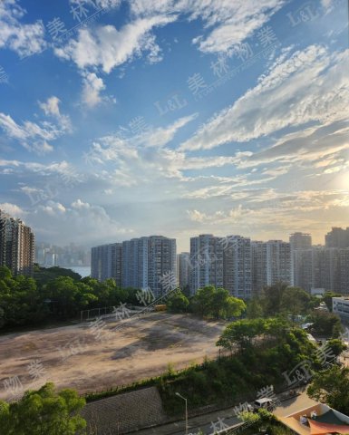 llam.com.hk