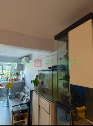 下禾輋村 @ EMILY 95080096