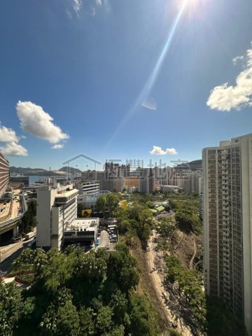樂翠台 第01座