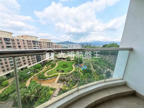大埔寶馬山  