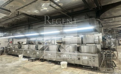 Hong Kong Industrial, Regent