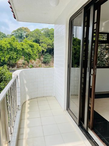 沙田圍村 95080030