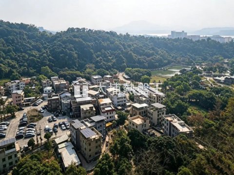 嵐山  