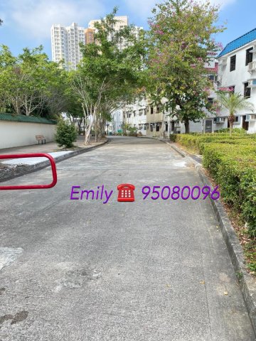 大圍新村 @ EMILY 95080096