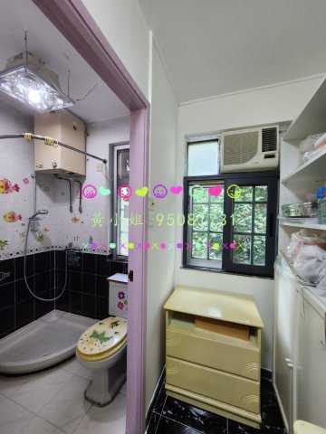 蘆慈田   95081731