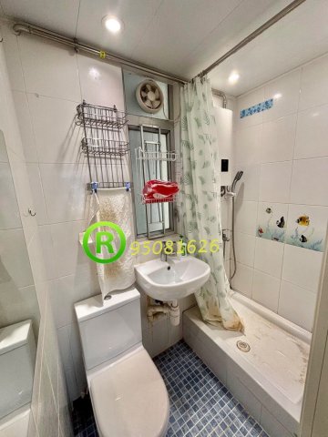 河畔花園 @ EMILY 95080096