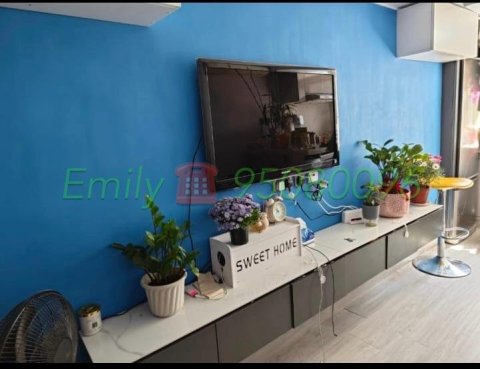 下禾輋村 @ EMILY 95080096