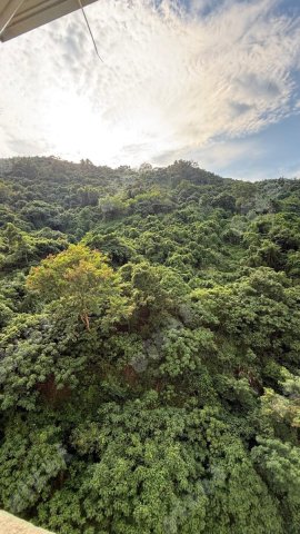 荃威花園 山景3房 荃威花園 山景3房