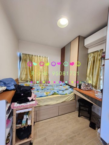 林村新村  95081731