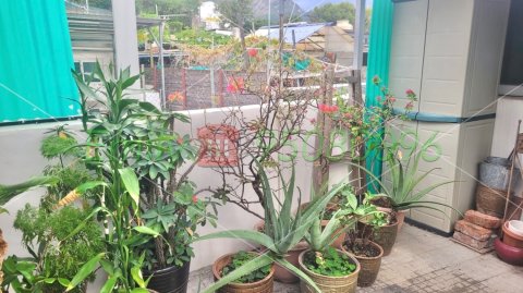 德隆前街 @ EMILY 95080096