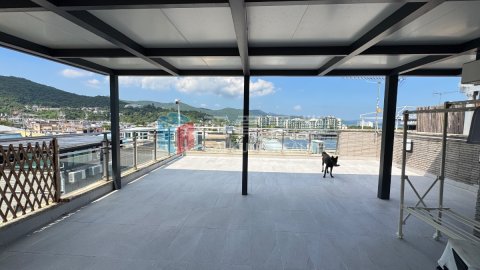 沙角尾