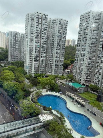 llam.com.hk