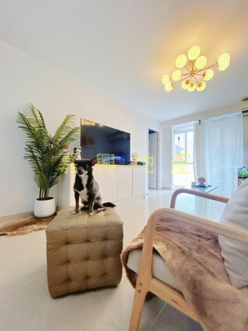 下禾輋村 95080030