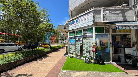 新安村