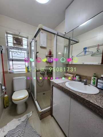 布心排   95081731