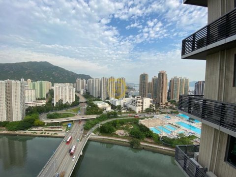 弦海
