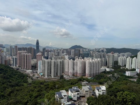 寶雲匯