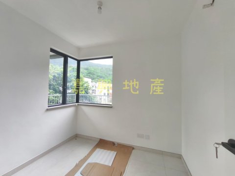 洞梓 95080030