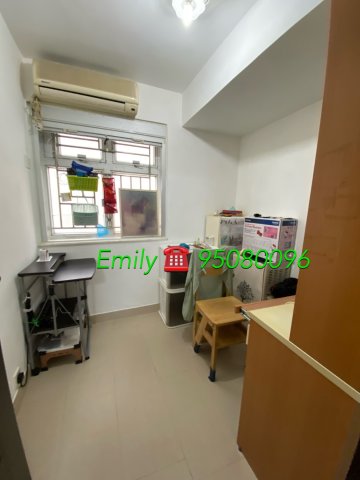 作壆坑 @ EMILY 95080096