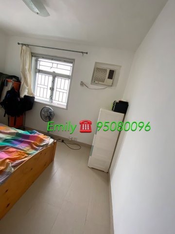 作壆坑 @ EMILY 95080096