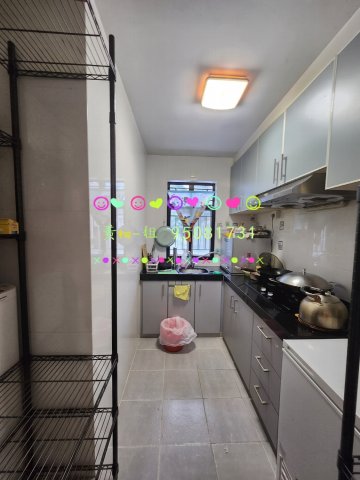 新屋家村 95081731
