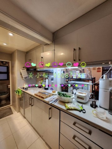 蘆慈田   95081731