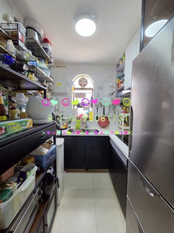 大尾督村  95081731