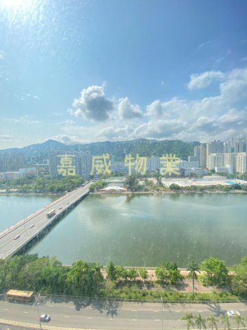 河畔花園 C座