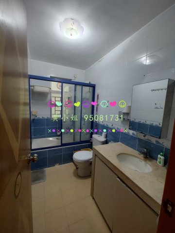 95081731   95081731