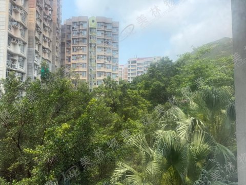 llam.com.hk