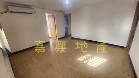 小瀝源北約 罕有可寵物,天台太陽能頂