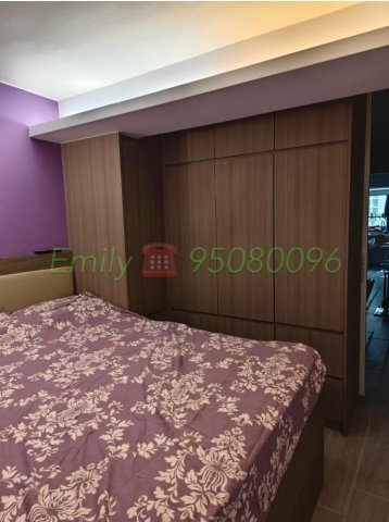 下禾輋村 @ EMILY 95080096