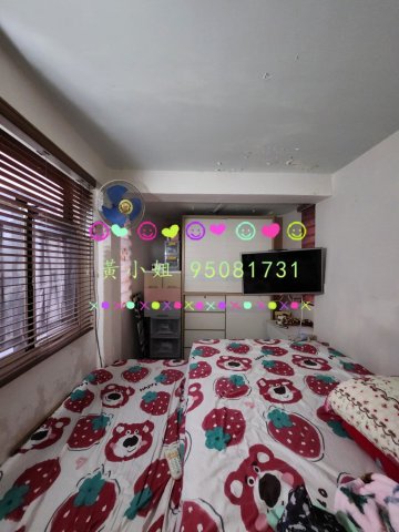 蘆慈田   95081731