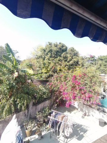 小瀝源北約 @ EMILY 95080096